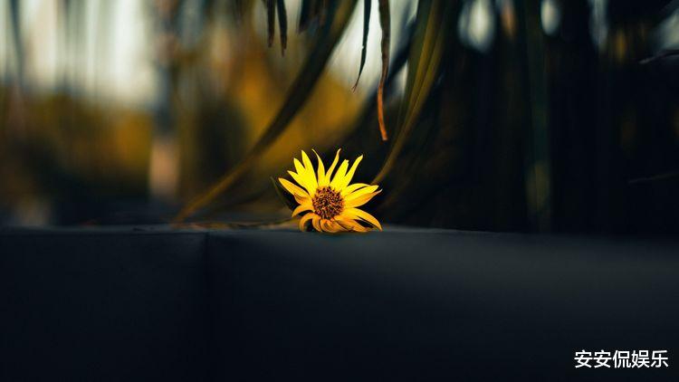 『射手座』4月,明明深爱,却只能错过,3星座不再沉迷过去,开始新生活