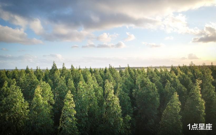 【星座男】第一眼没感觉，便不会再考虑的星座，爱一个人，需要激情