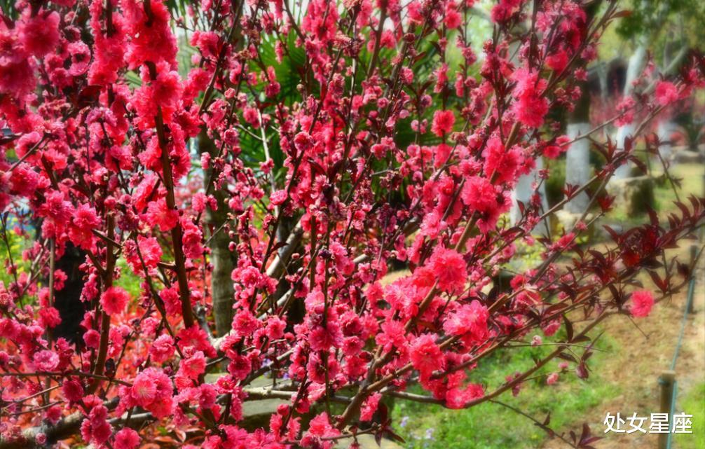 『生肖』最近十天，这3个生肖，有望横财入百万，喜事不断，一辈子都幸福