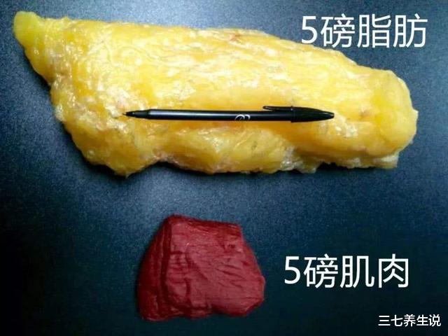 睡眠|减肥方法没那么花里胡哨，让你不知不觉瘦下来的，只是这5个好习惯