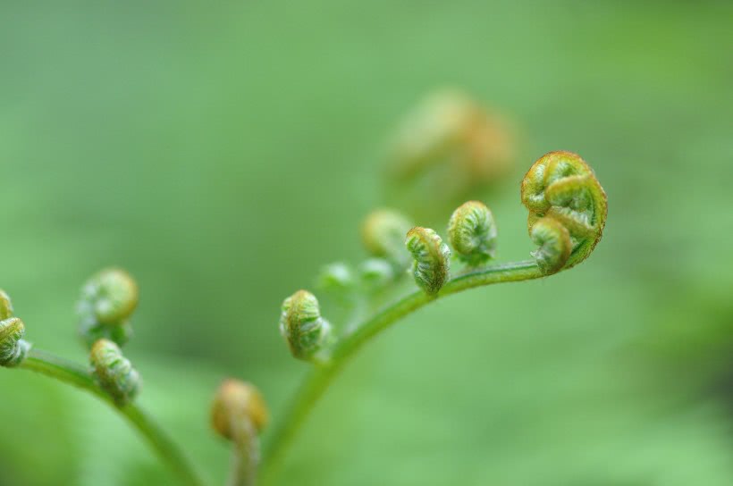 吉星▲下周起好运接二连三入宅，收入暴涨，四属相财运涨百倍，横财如雨