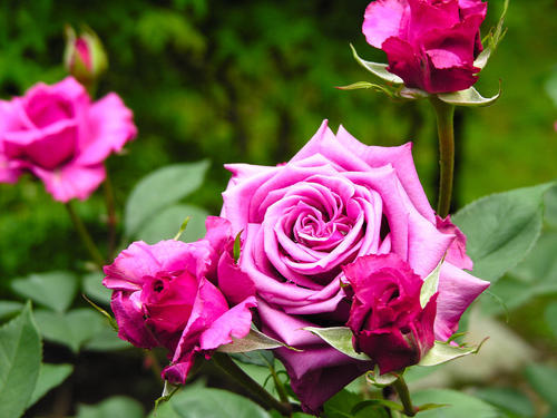 白羊座：对爱情看得开的三大星座，不会强求，看清现实重获新生