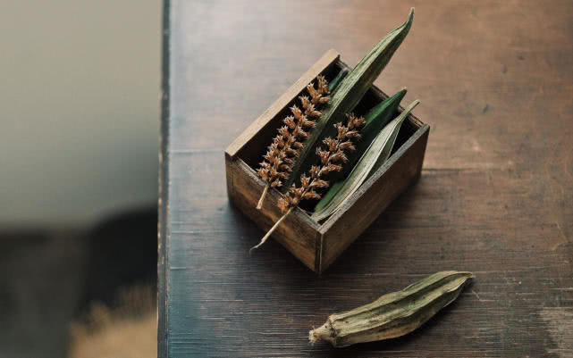 『锦上添花』6月下旬，心甘情愿，交付所有，3星座锦上添花，爱情甜蜜