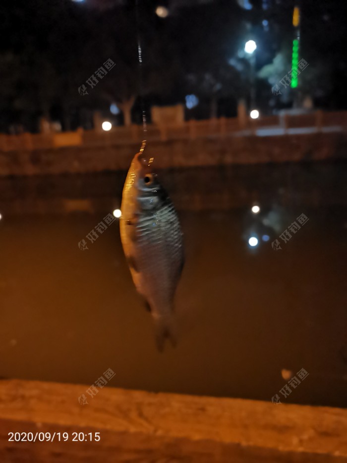 |再试自制跑铅子线 抗流水鱼获也可以