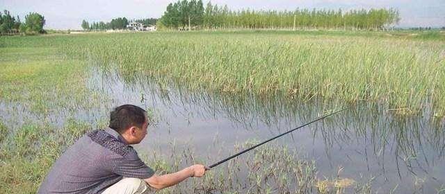 |传统钓在这些地方很合适，爱钓鱼的你不要再错过！