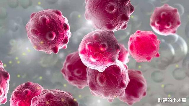 【微生物】人类体内共有380万亿多个病毒，为什么我们却活得好好的？