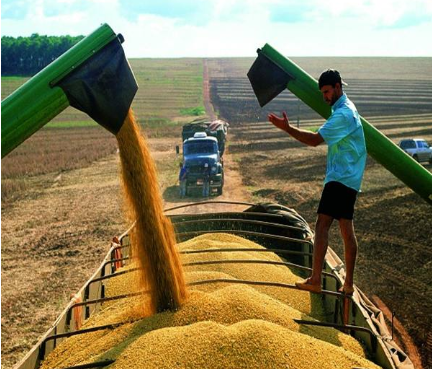 [阿根廷]新冠病毒席卷全球，首个“倒下”的国家出现，曾5次启动对华调查