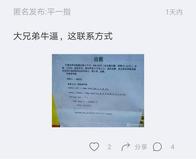 『程序员』装出新高度! 程序员用代码写招租广告只因不想与其它行业人士合租