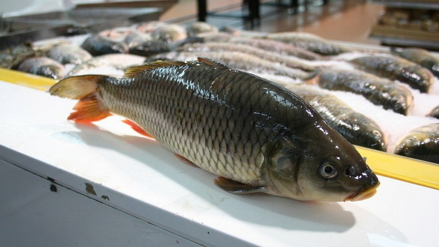 #烤鱼#同是烤鱼，大爷卖15元一条，饭店150元，网友：大爷这要生意赚翻