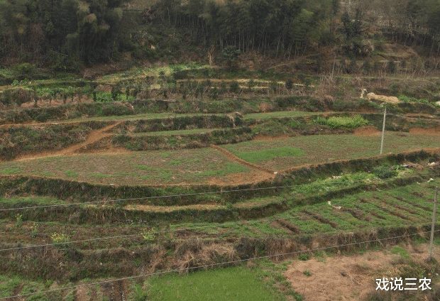 戏说三农|永久退地每亩最高补10万，农民却不愿意！为啥？老农道出3点实情