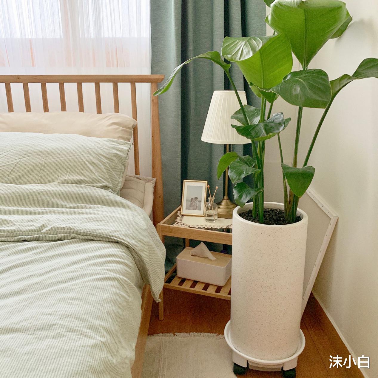 |若有钱买套49平小户型,一定学她DIY韩式北欧风,太温馨了!晒晒