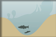 捕鱼|海湾钓鱼技巧大全,海钓钓具,海湾钓点,Saltwater Bay Fishing