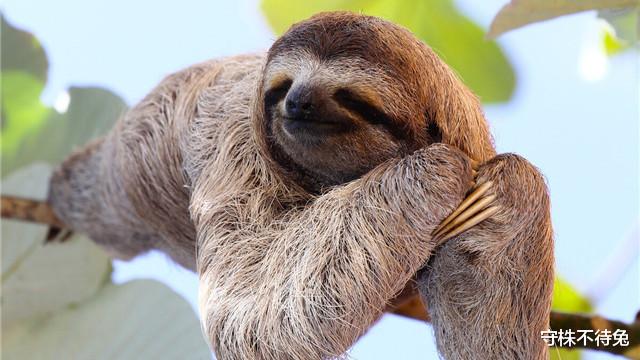 |23个冷知识：或许让人感到虚假，但却真实存在于世界