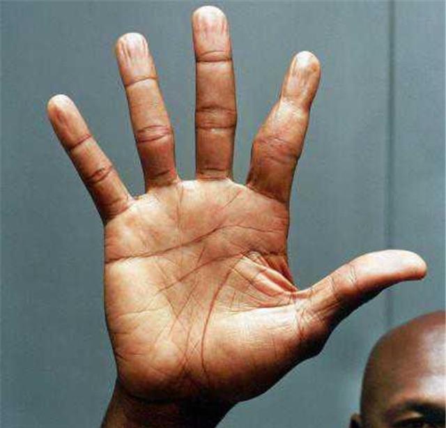 【迈克尔·乔丹】乔丹切雪茄切断食指不能弯曲变残疾,为什么依旧可以拿下三连冠