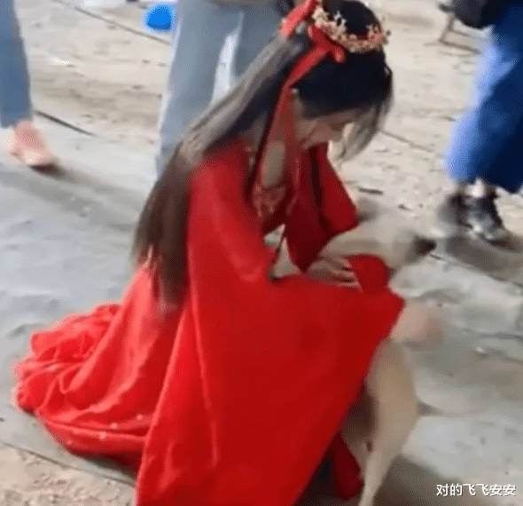 鞠婧祎|鞠婧祎被小狗咬住衣服，她下蹲对它“痛下狠手”，素养真是装不出来的