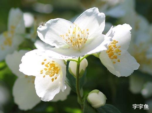 运势|9月5日起,4属相运势不可挡,生活富贵多金,大吉大利