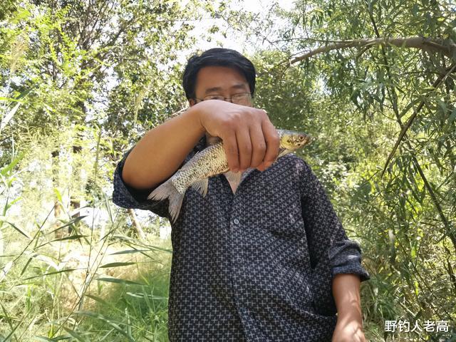 饵料|钓鱼的4个精彩时刻，魔力十足，毫无所获也抵挡不住扬竿的热情！