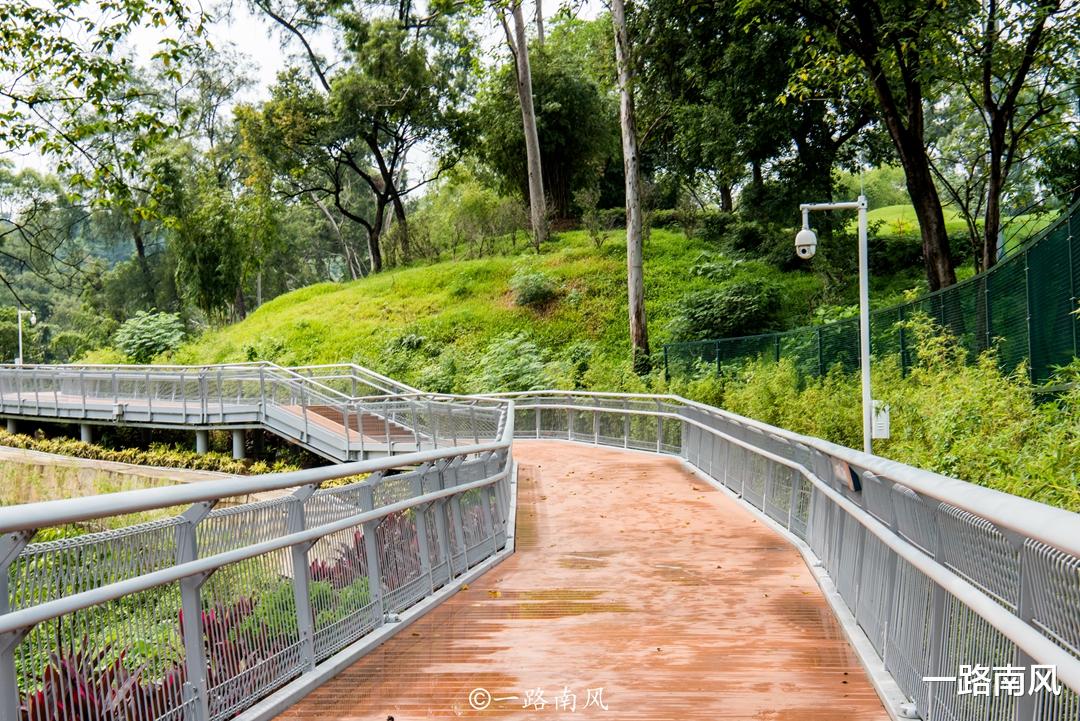 广州市|广州第一条“空中步道”，穿行在青山绿水间，走完全程大约2小时