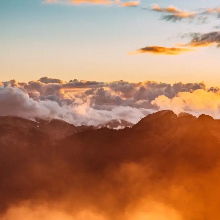 中国绿色时报 【林草热读】1.05