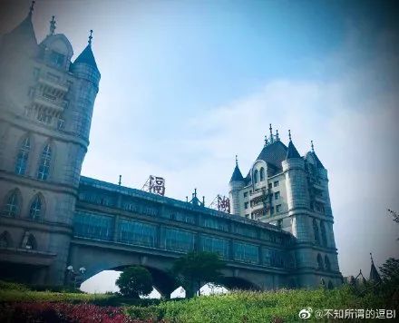 河北交通广播|【992 | 热点】多家高速服务区冲上热搜！网友：看傻眼了！