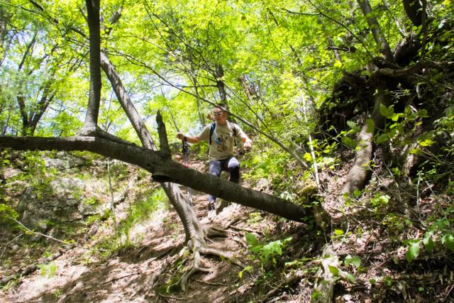 秦岭：秦岭沣峪大坝沟：是个好地方，有森林有高山瀑布，而且游客还不多