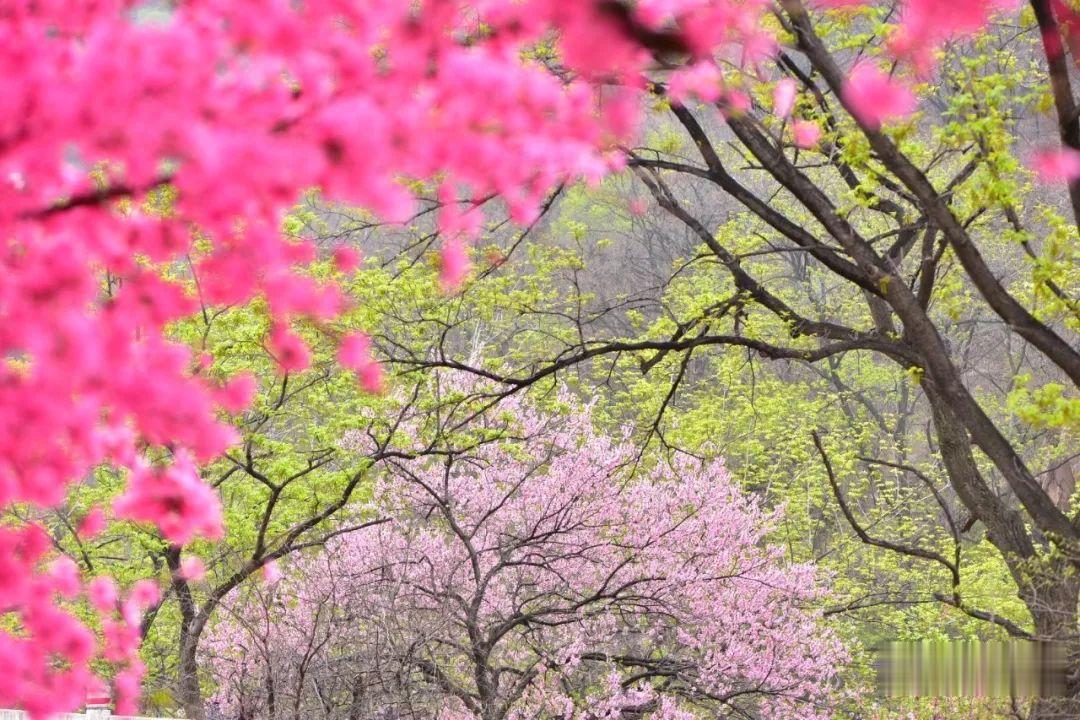 ▲周末，彩石溪走起！