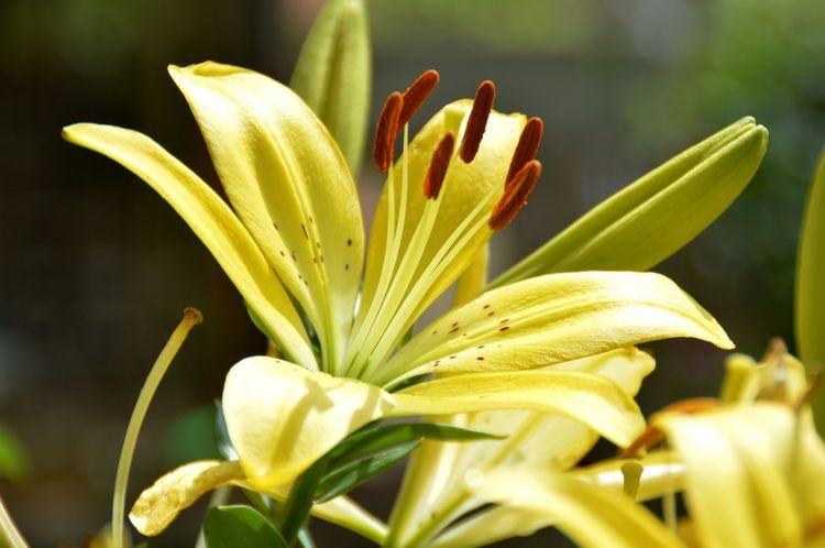 生肖|未来30天，桃花运最旺盛，真爱躲都躲不掉，顺利脱单的4大生肖