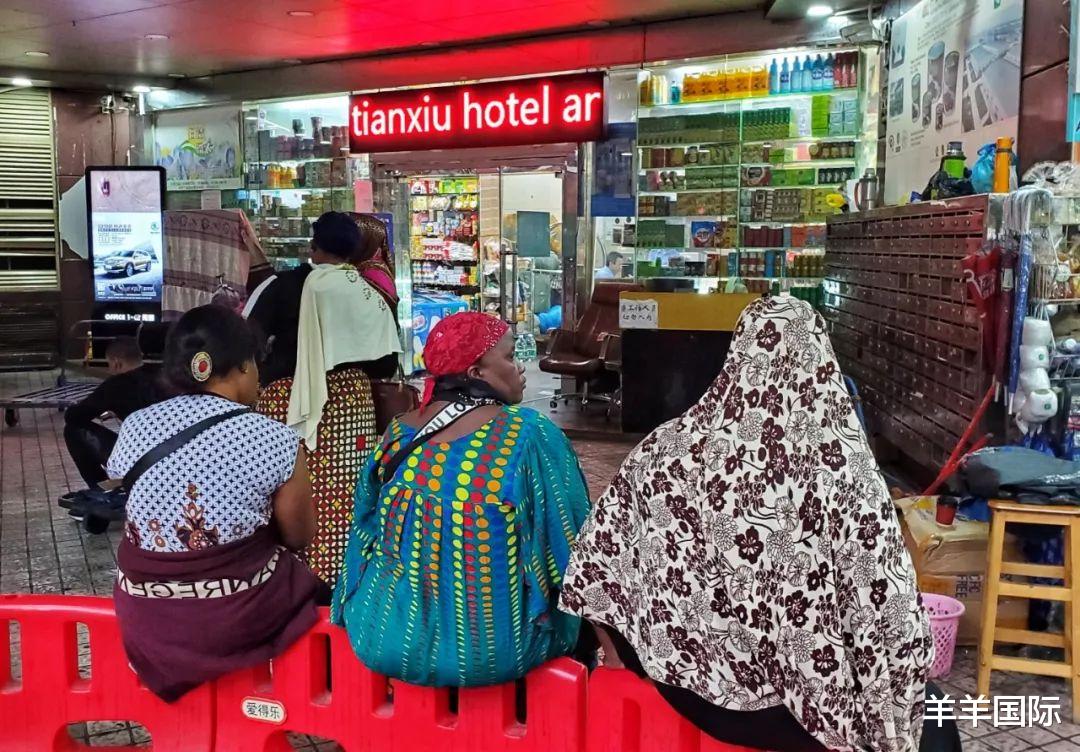 法国|加州毁了！高票通过向黑人赔款法，大批华人疯狂逃离！