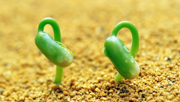 生肖|三属相未来10天,从未有此好运,横财一大把,万事不求人