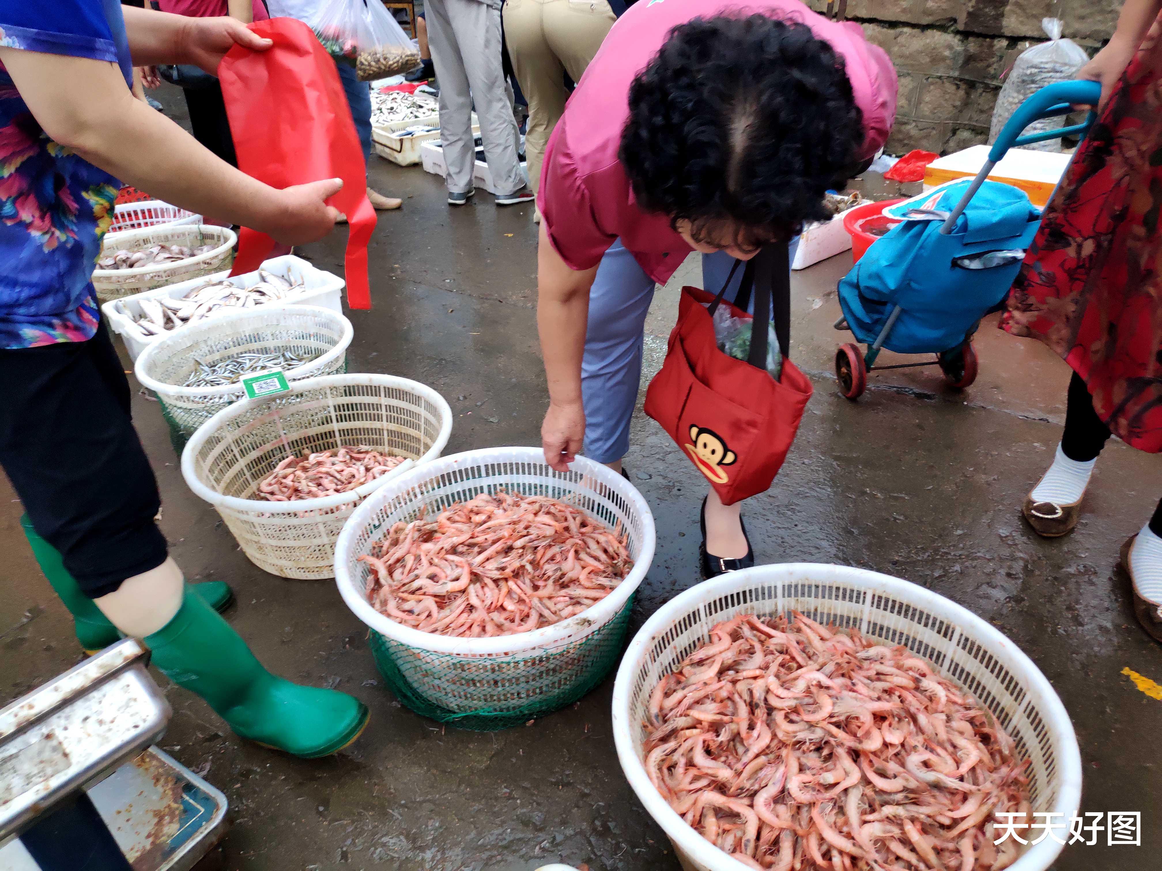 青岛市|海鲜多得吃不完，青岛野生小海鲜排队上市，新鲜大虾只要16一斤
