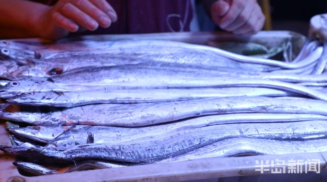 半岛新闻客户端|螃蟹50元、大海螺45元！记者走市场逛码头，青岛最“鲜”海货价格表来了