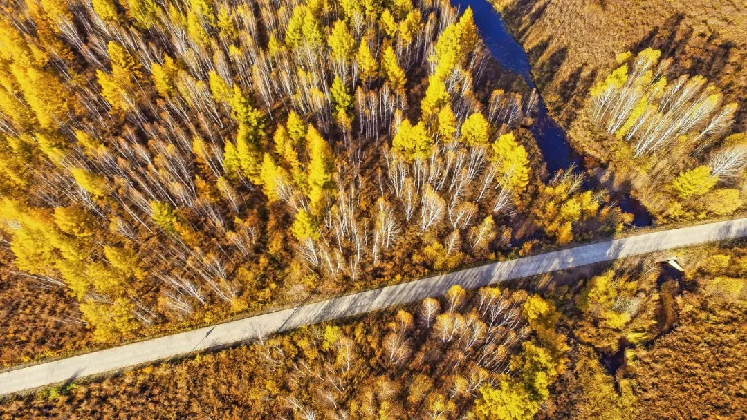 长白山|秋天的东北藏不住了，一组照片流出后，全世界都被惊艳了！