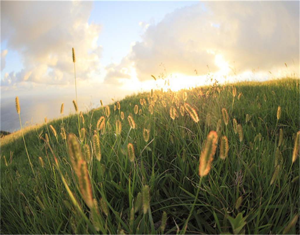 摩羯座|9月一到,幸运来临,3个星座桃花怒放,事业红火!