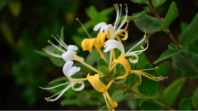 万水千山|15天后，万水千山情深意重，三星座爱的深沉，往后余生不分离