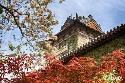 投档分数线|2020年3省提前批投档线出炉,985名校爆冷断档幸运考生565上华科