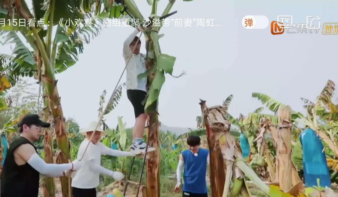 『滤镜』《向往的生活4》滤镜到底多重？看这个杯子就知道，人人家里都有可以对比