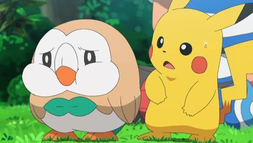 精灵宝可梦■口袋妖怪:实力被严重低估的四位御三家,第一名竟然是它