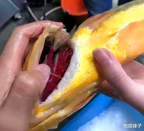 刀鱼|夏天最肥的鱼，我在菜市场碰到从不还价，20元一斤，包饺子贼香