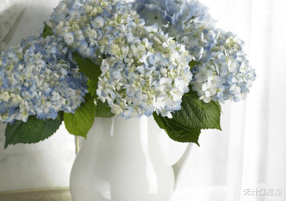 天蝎座：未来的9个月爱情无比甜蜜的4个星座，一段白头偕老的感情