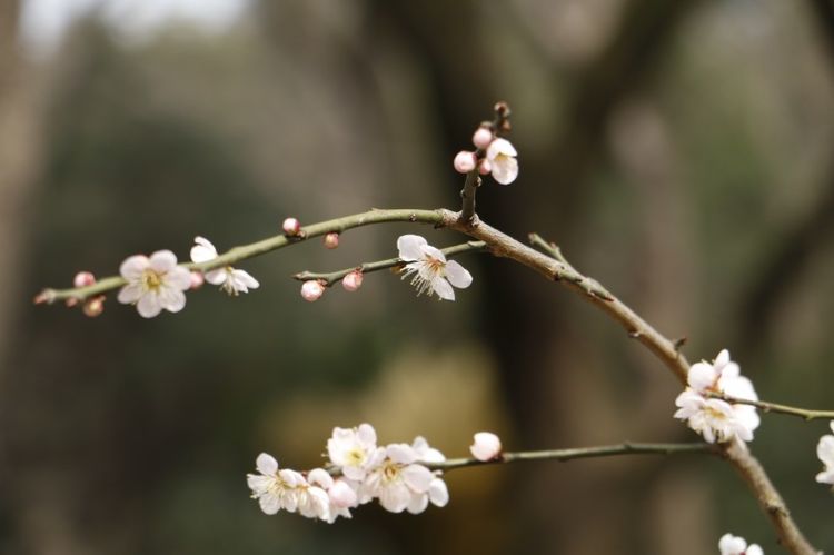 生肖|让男人死心塌地的3生肖女，婚后魅力不减而增，十分令人着迷