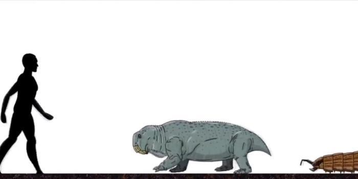 恐龙|远古时期的地球, 曾存在过的可怕生物, 今已全部灭绝