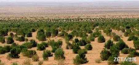 ：美国媒体：中国终于走了这步！