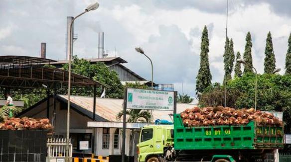 印度尼西亚|滞销货物全部送来中国，珍贵资源卖给美国，中国这次拒绝有错吗？
