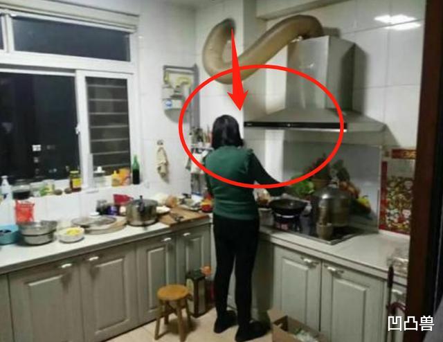 |老师傅张口闭口骂道：装这22处，智商简直零！钱挥霍完，还被骂傻