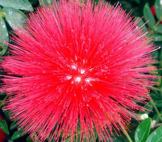 运势|下周开始，4属相运势飞涨，财运滚滚，喜事连连，家中福气满满