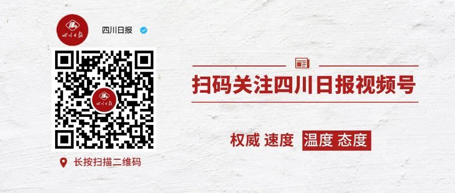 四川日报|痛心！成都三百年桂花巷，桂花树全砍光！