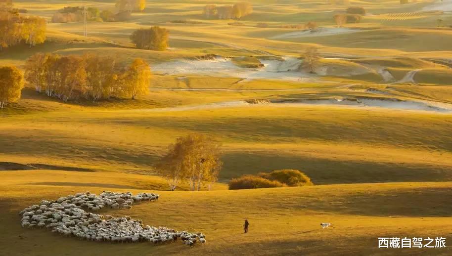 旅行|国内必去的100个地方，去过60个，称得上真正的旅行达人