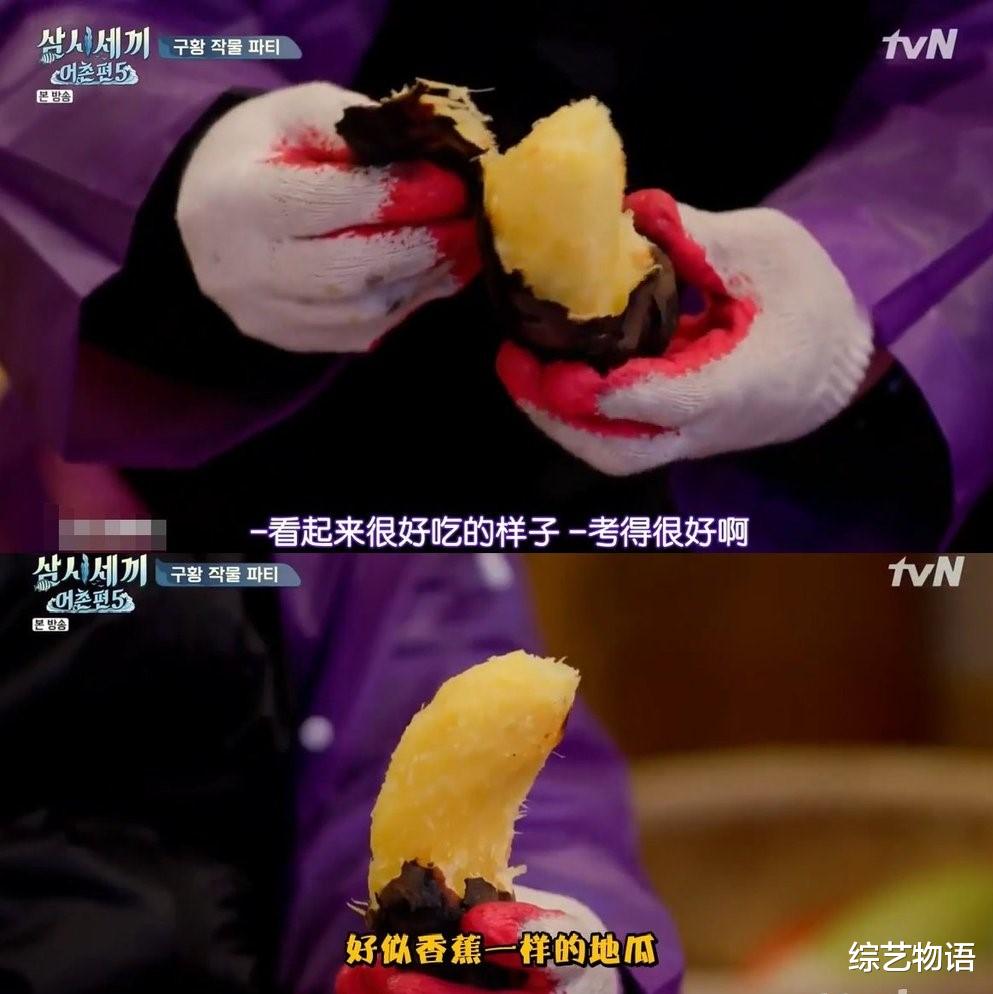 「罗?锡」这档9.7分下饭综艺，终于回来了！