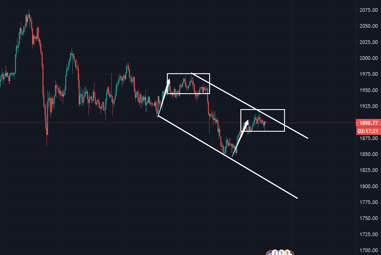 黄金|你知道吗？黄金的阴谋将在这周重现