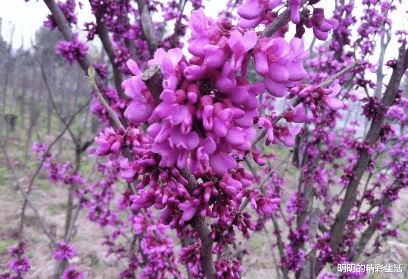 「霉运」今天开始行好运，日子喜气洋洋，不缺金钱，霉运远离的生肖男女